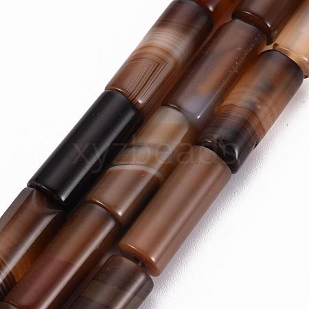 Natural Madagascar Agate Beads Strands G-Q463-02-1