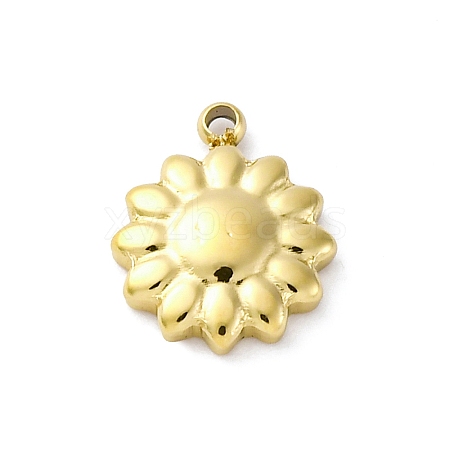 304 Stainless Steel Charms STAS-S163-08A-G-1