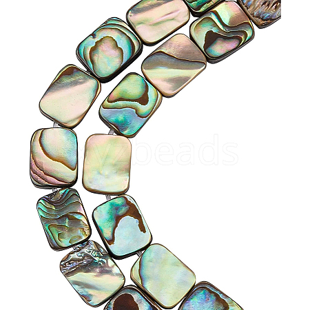 Natural Abalone Shell/Paua Shell Beads SSHEL-BC0001-10-1