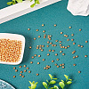 Rack Plating Brass Beads KK-TA0001-88G-03-6
