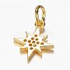 Brass Micro Pave Cubic Zirconia Charms ZIRC-K045-07G-2