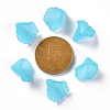 Frosted Acrylic Bead Caps MACR-S371-10A-755-4