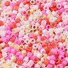 Baking Paint Glass Seed Beads SEED-S042-05A-08-3