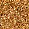 TOHO Round Beads X-SEED-TR11-0701-2
