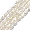 Natural Cultured Freshwater Pearl Beads Strands PEAR-J006-03F-01-1