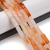 Natural Carnelian Beads Strands G-F631-E15-01-4