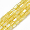 Natural Trochid Shell/Trochus Shell Beads Strands SHEL-N003-26-B10-1