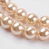 Shell Pearl Beads Strands BSHE-K011-8mm-VA066-3