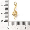 Rack Plating Brass Micro Pave Cubic Zirconia Charms KK-H508-29G-3