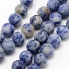 Natural Blue Spot Jasper Round Bead Strands G-D679-6mm-1