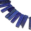 Natural Gemstone Lapis Lazuli Beads Strands G-L156-05-2