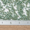MIYUKI Delica Beads SEED-JP0008-DB2190-4