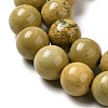 Natural Verdite Stone Beads Strands G-P515-A02-01-3