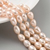 Natural Cultured Freshwater Pearl Beads Strands PEAR-P062-10G-2