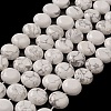 Natural Howlite Beads Strands G-M403-C07-1