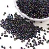 (Repacking Service Available) 8/0 Glass Seed Beads SEED-C018-3mm-603-1