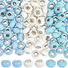100cs Large Hole Resin European Beads RESI-PA0001-22A-7