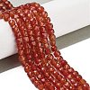 Natural Red Agate Beads Strands G-H042-A49-02-2