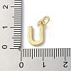 Rack Plating Brass Charms KK-P245-06G-U-3