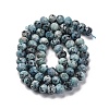 Natural Sesame Jasper Beads Strands G-K380-A18-01-3