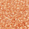 Transparent Glass Round Seed Beads SEED-B001-05A-31-3