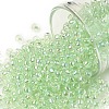 TOHO Round Seed Beads X-SEED-TR08-0172-1