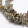 Natural Labradorite Beads Strands G-F521-13-3