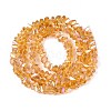 Electroplate Transparent Glass Beads Strands GLAA-N021-4mm-24-3