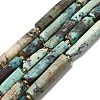 Natural Chrysocolla Beads Strands G-D353-A06-2