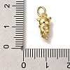 Rack Plating Brass Micro Pave Cubic Zirconia Charms KK-I720-31G-3