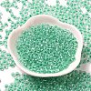 Transparent Glass Round Seed Beads SEED-B001-05A-11-2