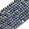 Natural Blue Spot Jasper Beads Strands G-P573-A45-01-2