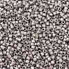 MIYUKI Delica Beads Small SEED-JP0008-DBS0338-3