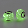 Handmade Luminous Lampwork European Beads LAMP-Q029-35L-3