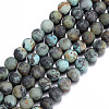 Frosted Natural African Turquoise(Jasper) Round Beads Strands X-G-D746-10mm-1