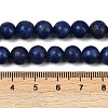 Synthetic Howlite Imitation Lapis Lazuli Beads G-S393-13A-8mm-5