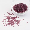 8/0 Frosted Round Glass Seed Beads X-SEED-A008-3mm-M16-1