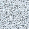 8/0 Glass Seed Beads SEED-S061-A-979-3