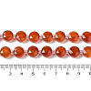 Natural Carnelian Bead Strands G-NH0013-A03-01-5