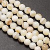 Natural Freshwater Shell Round Bead Strands SHEL-M013-01-1