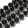 Natural Black Onyx(Dyed & Heated) Beads Strands G-K387-A03-02-2