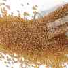 TOHO 15/0 Round Beads SEED-XTR15-0103B-1