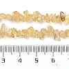 Natural Citrine Chip Beads Strands X-G-D093-A03-5