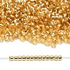 TOHO 8/0 Round Beads SEED-TR08-0022A-4
