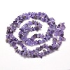 Natural Amethyst Chip Bead Strands G-M205-04-2