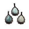 Natural Labradorite Teardrop Pendants G-K363-01R-14-1