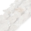 Natural Quartz Crystal Beads Strands G-Q023-A02-01-1