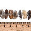 Natural Botswana Agate Beads Strands G-L649-A06-01-5