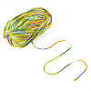 Light Gradient Segment Dyed Polyester Yarn DIY-TADJ0002-005A-3