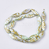 Drawbench Freshwater Shell Beads Strands X-SHEL-T014-008B-03-2
